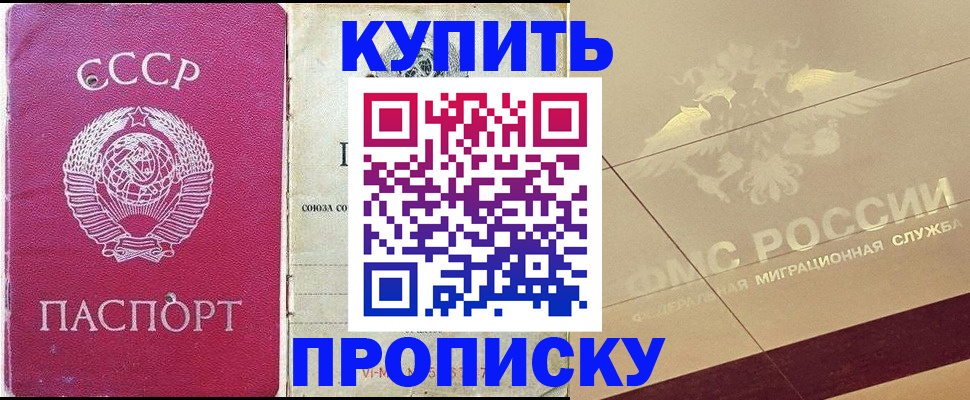 прописка для школы в Электрогорске